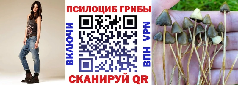 Псилоцибиновые грибы Cubensis  Богородицк 