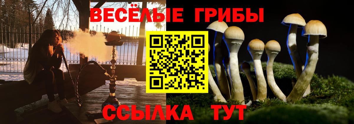 Галлюциногенные грибы ЛСД Богородицк